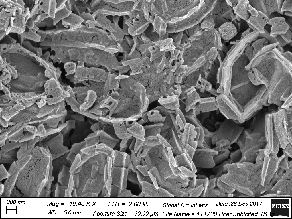 World of coccoliths Materials of the Ocean